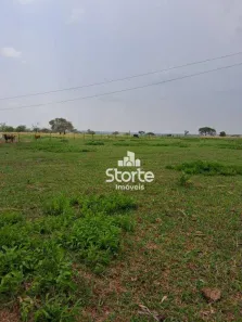 Fazenda/Sítio à venda, 193600m² no Panorama, Uberlândia