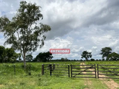 Fazenda/Sítio à venda, 1m² no , Cocalinho