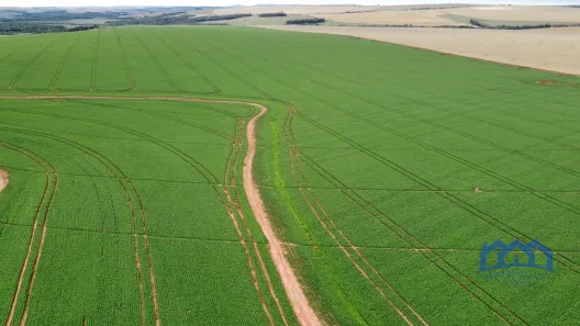 Fazenda/Sítio com 1 Quarto à venda, 16698000m² no , Itaberá