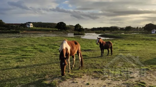 Fazenda/Sítio com 1 Quarto à venda, 20000m² no Papucaia, Cachoeiras de Macacu