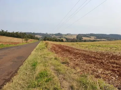 Lote/Terreno à venda, 20000m² no Gleba Fazenda Palhano, Londrina