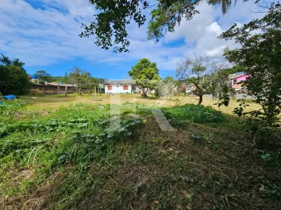 Lote/Terreno à venda, 2000m² no Cachoeira do Bom Jesus, Florianópolis