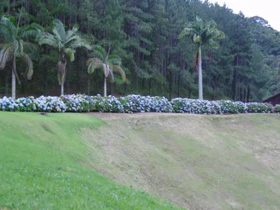 Lote/Terreno à venda, 1260m² no Bonsucesso, Teresópolis