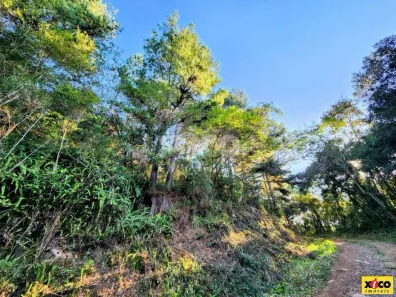 Lote/Terreno à venda, 5000m² no , Nova Petrópolis