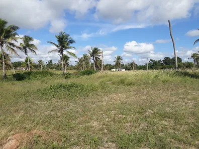 Fazenda/Sítio à venda, 20000m² no , São José de Mipibu