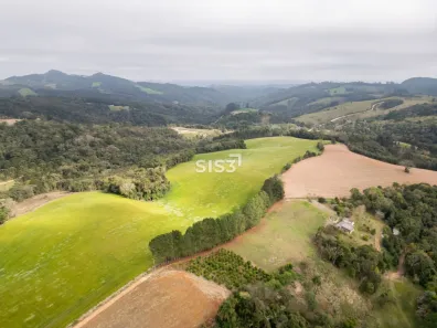 Fazenda/Sítio à venda, 1093000m² no Bateias, Campo Largo