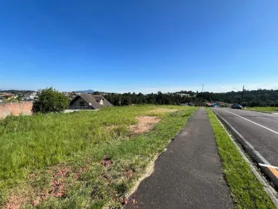 Lote/Terreno à venda, 290m² no Jardim da Colina, Campina Grande do Sul