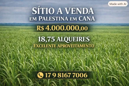 Fazenda/Sítio à venda, 454000m² no Centro, Palestina