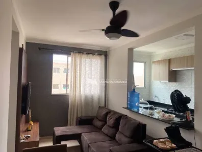 Apartamento com 2 Quartos à venda, 47m² no Parque das Flores II, São José do Rio Preto