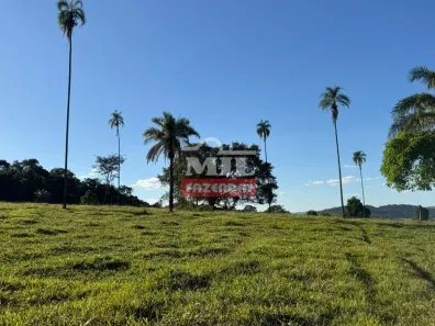 Fazenda/Sítio à venda, 1m² no Centro, Trindade