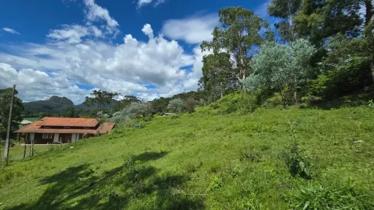 Fazenda/Sítio à venda, 10000m² no , Rio Rufino
