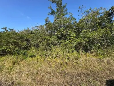 Lote/Terreno à venda, 250m² no Gaivota (Interior), Itanhaém