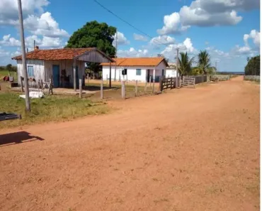 Fazenda/Sítio com 10 Quartos à venda, 170560000m² no , Santa Fé do Araguaia