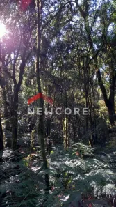 Lote/Terreno à venda, 680m² no Centro, São Francisco de Paula