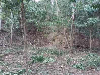 Lote/Terreno à venda, 750m² no Serra Grande, Niterói