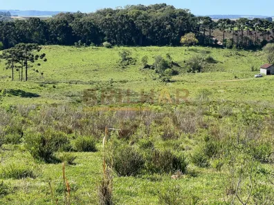 Lote/Terreno à venda, 100000m² no Sagrada Família, Caxias do Sul