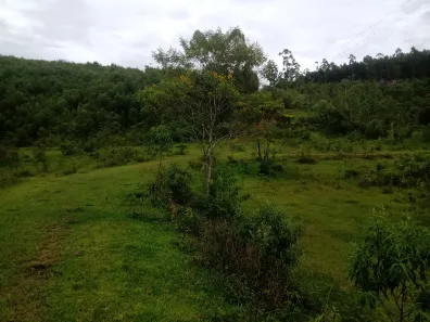 Fazenda/Sítio com 1 Quarto à venda, 70m² no Centro, Paraibuna