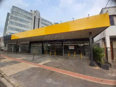 Ponto Comercial para alugar, 400m² no Jardim Higienópolis, Londrina