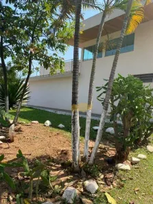 Casa com 6 Quartos à venda, 250m² no Vila Nova, Rio Claro