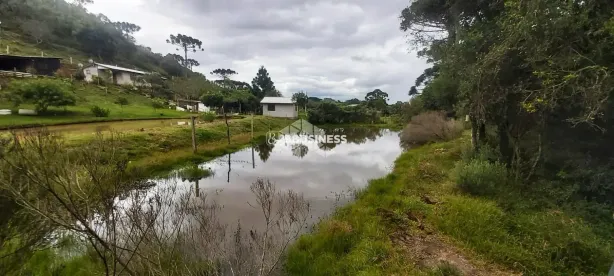 Fazenda/Sítio com 5 Quartos à venda, 20000m² no Criúva, Caxias do Sul