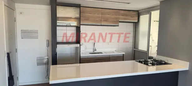Apartamento com 3 Quartos para alugar, 71m² no Vila Isolina Mazzei, São Paulo