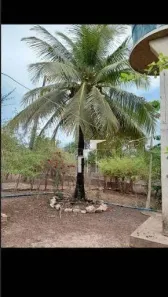 Lote/Terreno à venda, 18600000m² no Zona Rural, Altos
