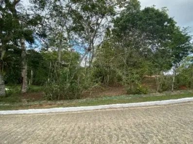 Lote/Terreno à venda, 1000m² no , Aliança