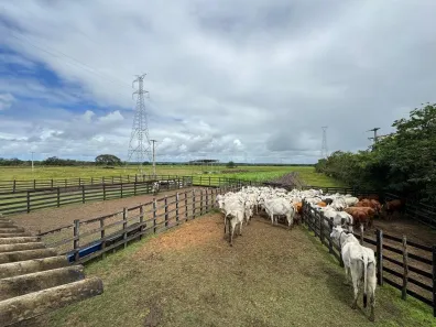 Fazenda/Sítio à venda, 139000m² no , Penedo