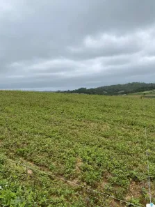 Lote/Terreno à venda, 500m² no Altos de Caucaia (Caucaia do Alto), Cotia