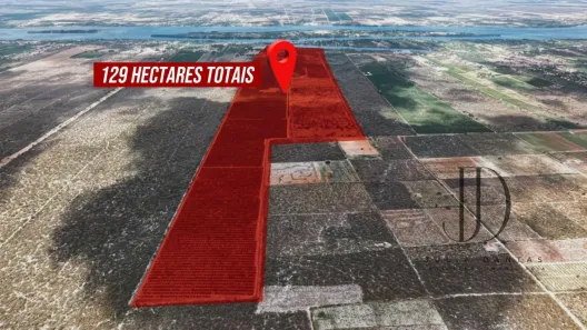 Fazenda/Sítio à venda, 1290000m² no , Petrolina