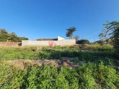 Lote/Terreno à venda, 375m² no Jardim Campo Belo, Maringá