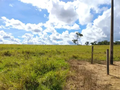 Fazenda/Sítio com 2 Quartos à venda, 822800m² no , Cezarina