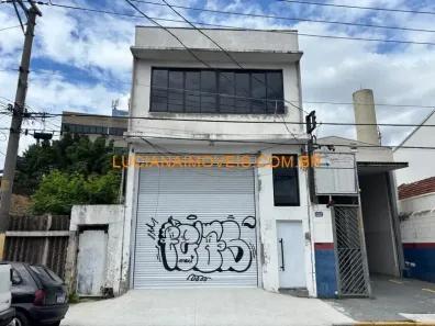 Galpão/Depósito/Armazém para alugar, 300m² no Vila Anastácio, São Paulo