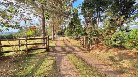 Fazenda/Sítio à venda, 29m² no , Cunha