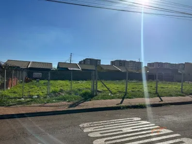 Imóvel Comercial com 1 Quarto para alugar, 750m² no Jardim Padovani, Londrina