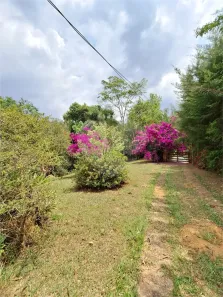 Fazenda/Sítio com 3 Quartos à venda, 184m² no Salto do Meio, Extrema