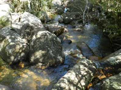 Lote/Terreno à venda, 106934m² no , Governador Celso Ramos
