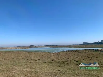 Fazenda/Sítio com 4 Quartos à venda, 560000m² no Área Rural de Águas Claras, Viamão