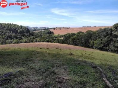 Fazenda/Sítio com 1 Quarto à venda, 20300m² no Fazenda Velha, Wenceslau Braz