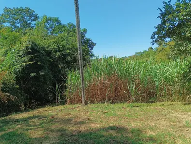 Fazenda/Sítio à venda, 50000m² no Ponte Alta Norte, Brasília