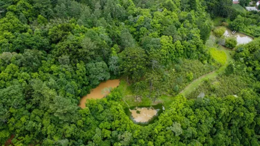 Fazenda/Sítio com 1 Quarto à venda, 200000m² no , Gramado