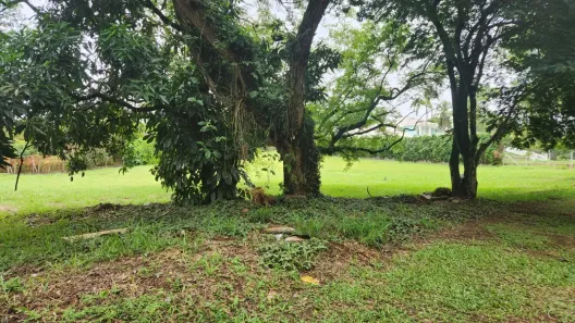 Lote/Terreno à venda, 3070m² no Vila Martins, Itu