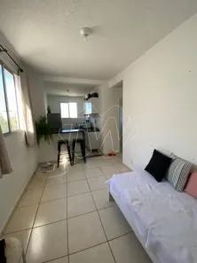 Apartamento com 2 Quartos à venda, 46m² no Jardim das Flores, Araraquara