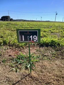 Lote/Terreno à venda, 250m² no Recreio dos Bandeirantes, Uberaba