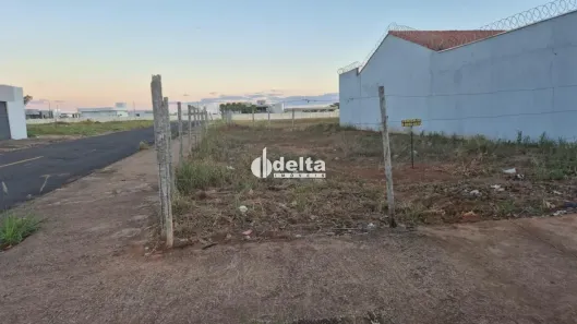 Lote/Terreno à venda, 250m² no Jardim das Palmeiras, Uberlândia