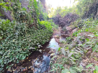 Lote/Terreno à venda, 40000m² no Jardim das Roseiras, Igarapé