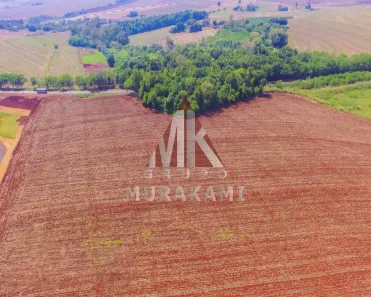 Lote/Terreno à venda, 50094m² no Gleba Ribeirão Morangueiro, Maringá