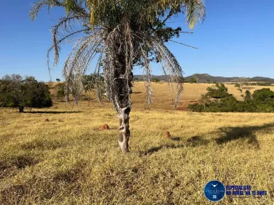 Lote/Terreno à venda, 3m² no Setor Central, Taquaral de Goiás