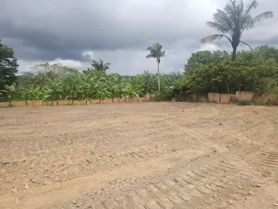 Lote/Terreno para venda ou aluguel, 56000m² no Distrito Industrial II, Manaus