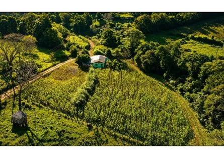 Fazenda/Sítio com 4 Quartos à venda, 35176m² no , Porto Vera Cruz